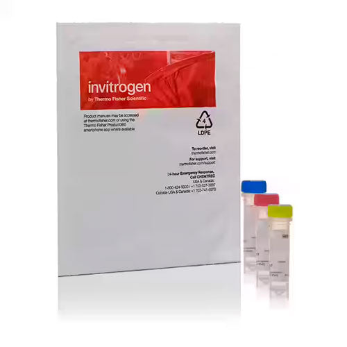 26815. KIT DE ETIQUETADO DE CELULAS VYBRANT MULTICOLOR (SOLUCIONES DIO, DIL, DID 1ML CADA UNA) INVITROGEN