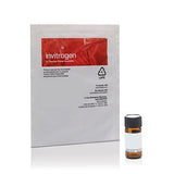 52843. CONJUGADO DE AGLUTININA DEL GERMEN DE TRIGO, ALEXA FLUOR 488 5MG - INVITROGEN