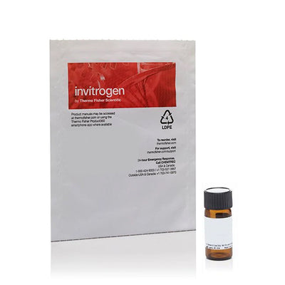 52843. CONJUGADO DE AGLUTININA DEL GERMEN DE TRIGO, ALEXA FLUOR 488 5MG - INVITROGEN