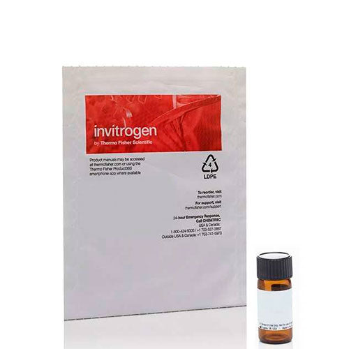 26830. WHEAT GERM AGGLUTININ (WGA) TETRAMETHYLRHODAMINE 5MG INVITROGEN