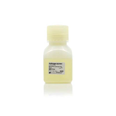 14372. BUFFER DE LAVADO (25X) 100ML - THERMO SCIENTIFIC