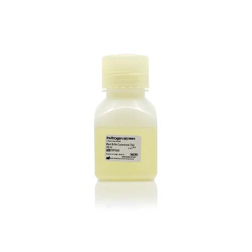 14372. BUFFER DE LAVADO (25X) 100ML - THERMO SCIENTIFIC