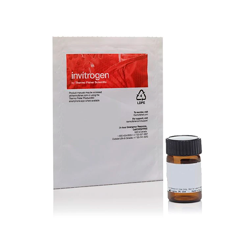 18063. XTT (2,3-BIS-(2-METOXI-4-NITRO-5-SULFOFENIL)-2H-TETRAZOLIO-5-CARBOXANILIDA) 100MG - INVITROGEN