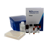 56407. HUMAN INF-GAMMA ELISPOT 6 PLATES - R&D SYSTEMS