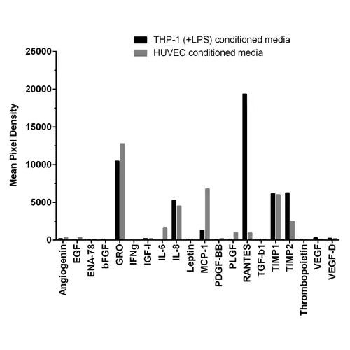 55757. HUMAN ANGIOGENESIS ANTIBODY ARRAY - MEMBRANE (20 TARGETS) 1X8 MEMBRANES - ABCAM